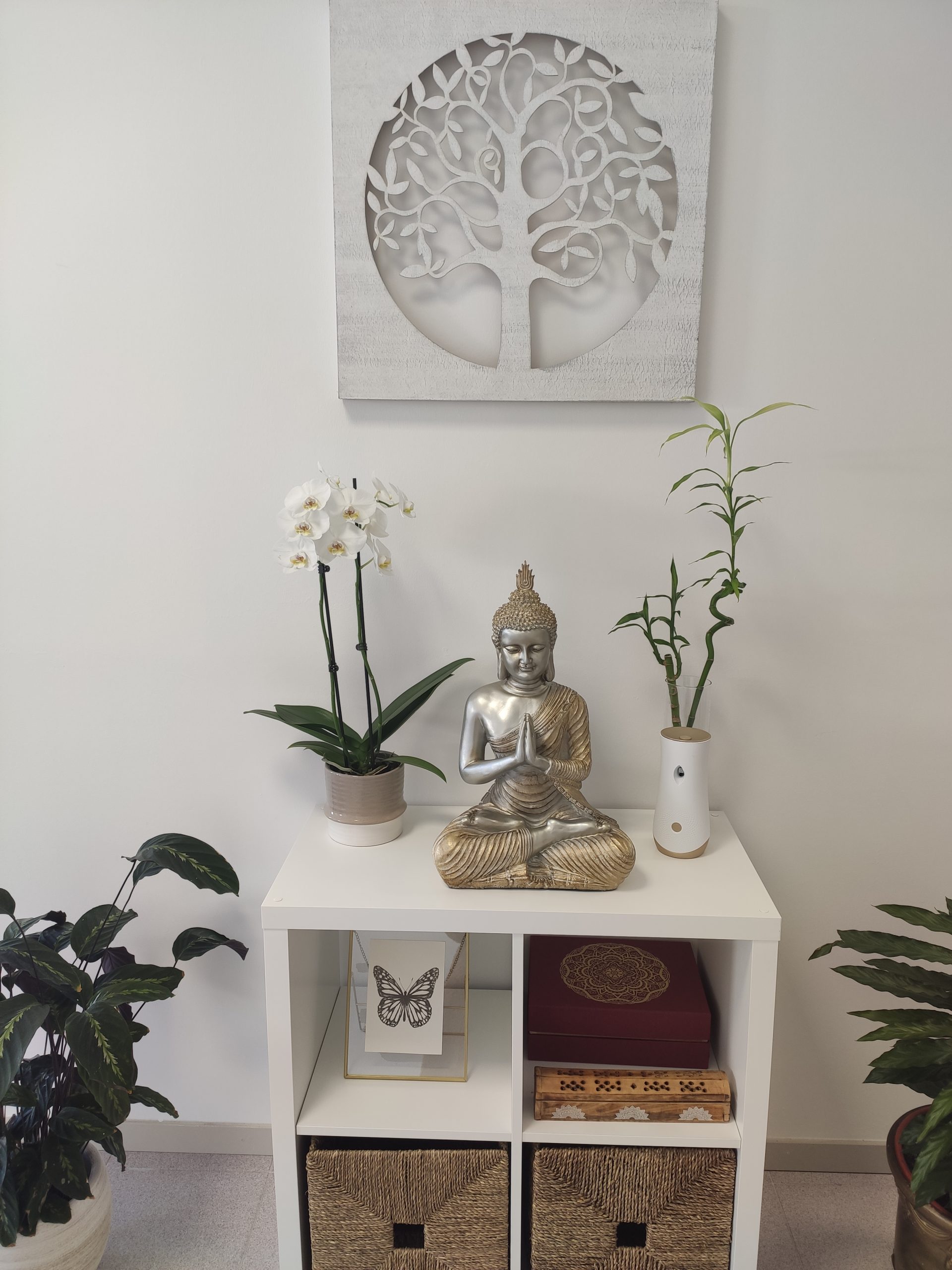 terapias alternativas